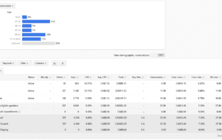 Increase AdWords Performance in 5-Minutes with Demographics for Search Ads 1