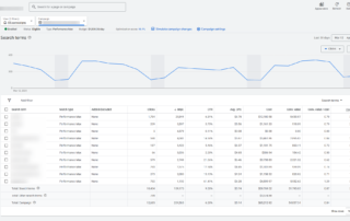 p-max search terms